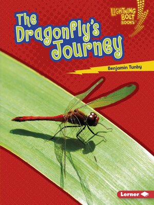cover image of The Dragonfly's Journey